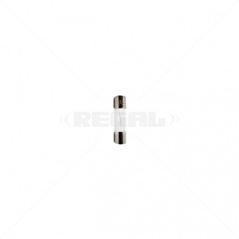 Fuse - 1Amp 5 x 20mm