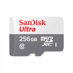 Micro SD Card 256GB Class 10