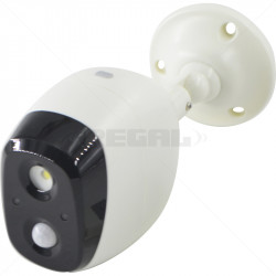 PIR Motion Sensor Light with Alarm- requires Batteries