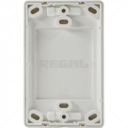 CONDUIT PVC Cover Plate - 4 x 2" Box