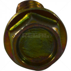 Rawl Bolt - 6 x 55mm / each