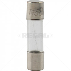 Fuse - 250mA 5 x 20mm Slow Blow