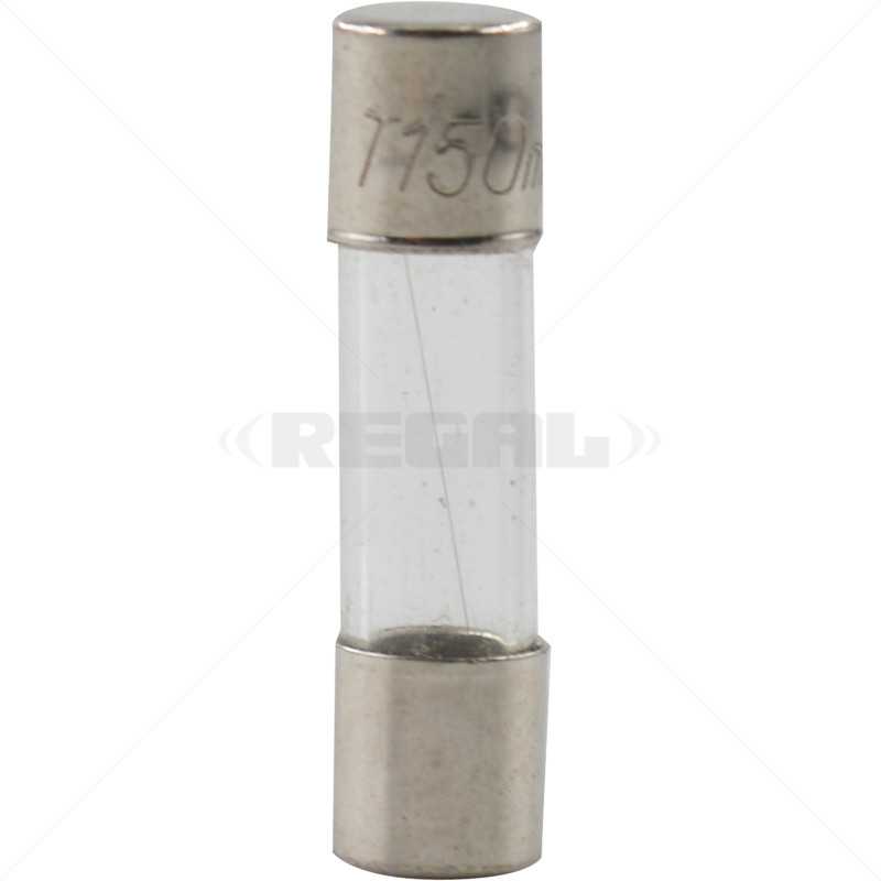 Fuse - 250mA 5 x 20mm Slow Blow